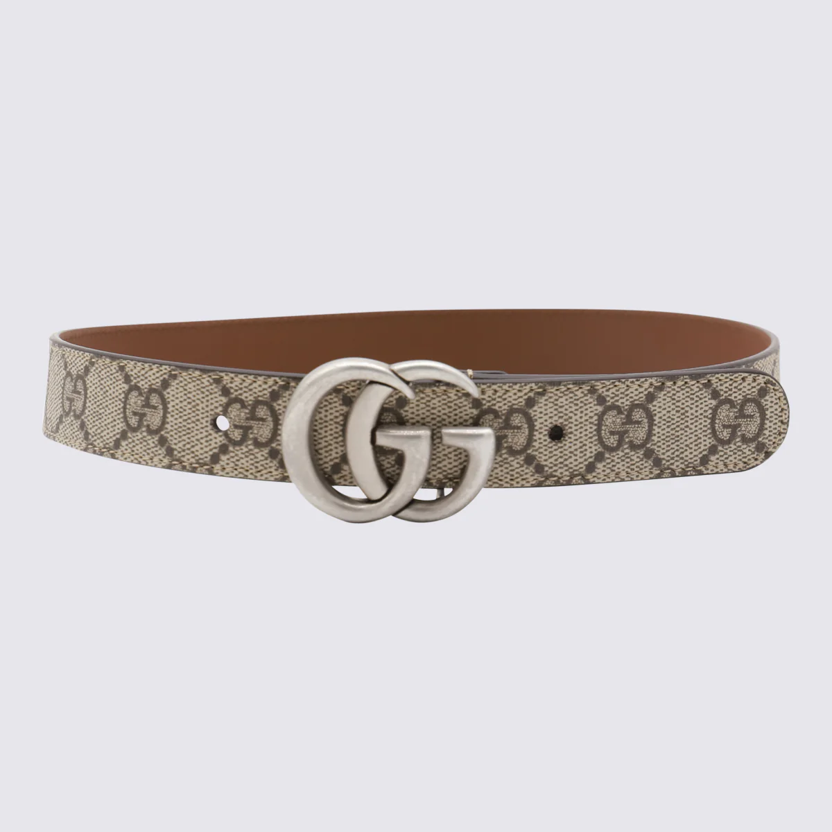 Cintos Gucci Bege Ébano _pu Co Pl