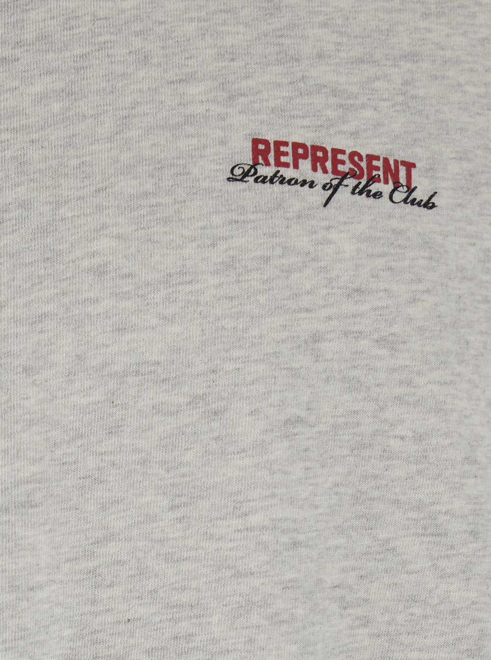 Camiseta Represent com Estampa de Logotipo na Frente e Verso em Camisetas de Algodão Cinza para Homens Camiseta Represent com Estampa de Logotipo na Frente e Verso em Camisetas de Algodão Cinza para Homens