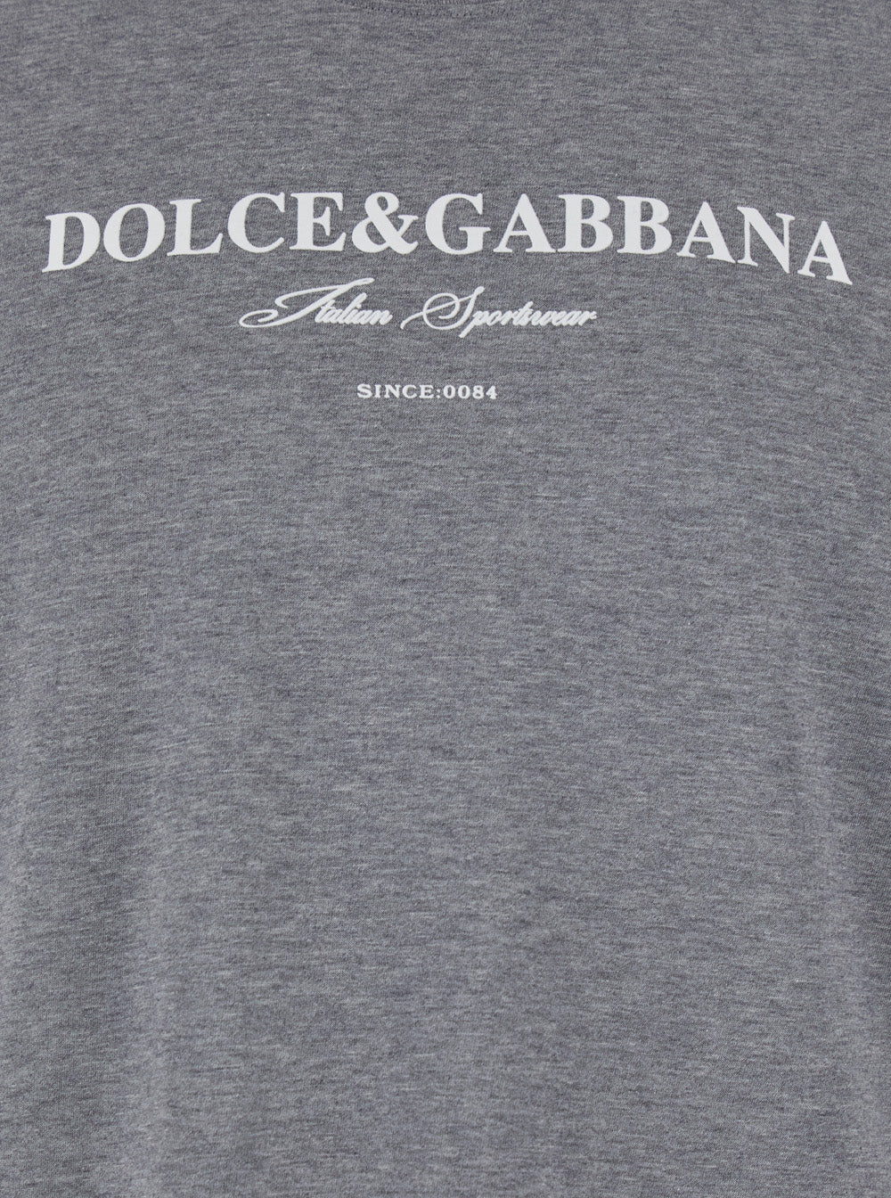 Camiseta Cinza com Estampa de Letras de Logotipo na Frente de Dolce & Gabbana em Camisetas de Homem e Camisetas Polo