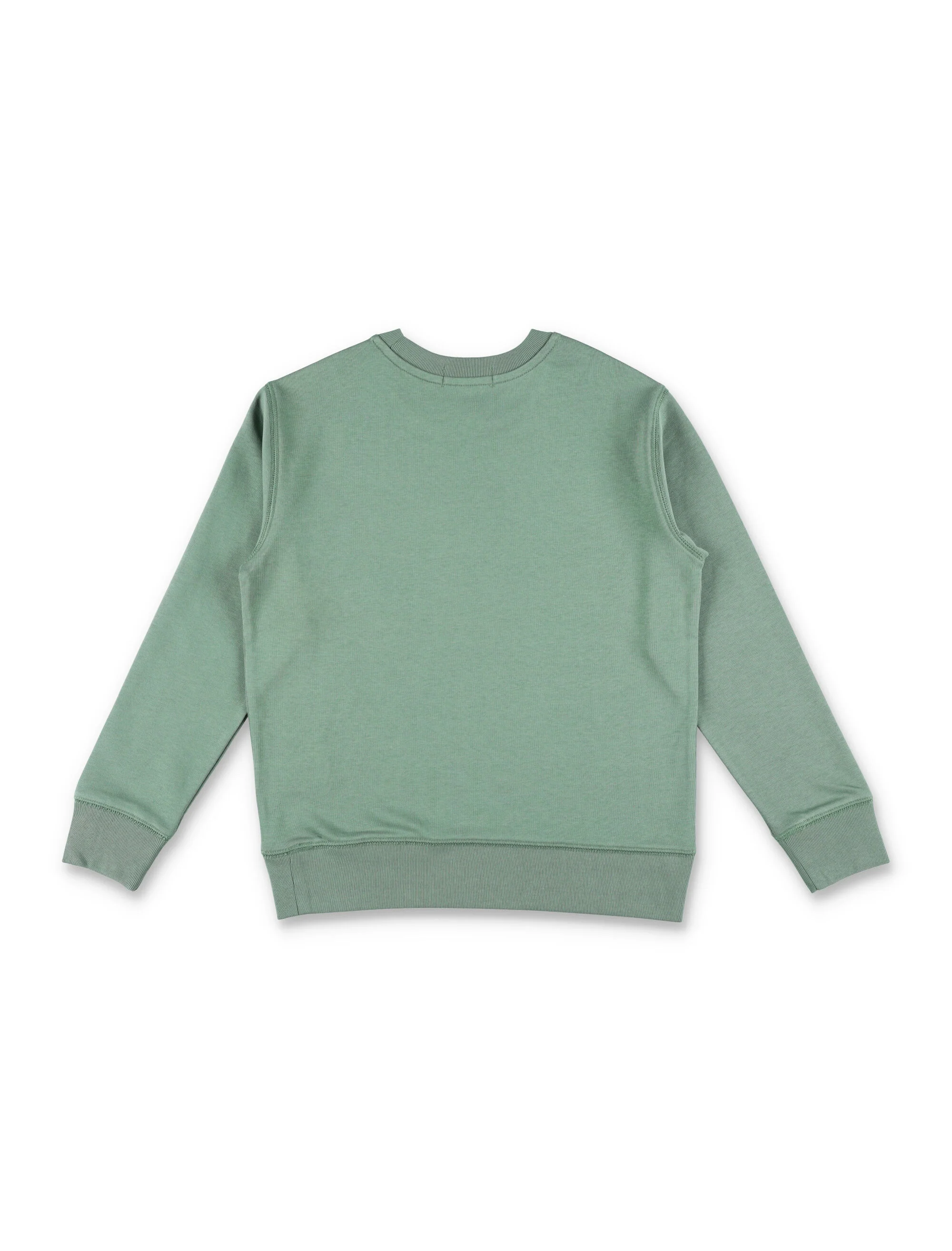 Camisola de Moletom de Algodão para Crianças Polo Ralph Lauren Verde