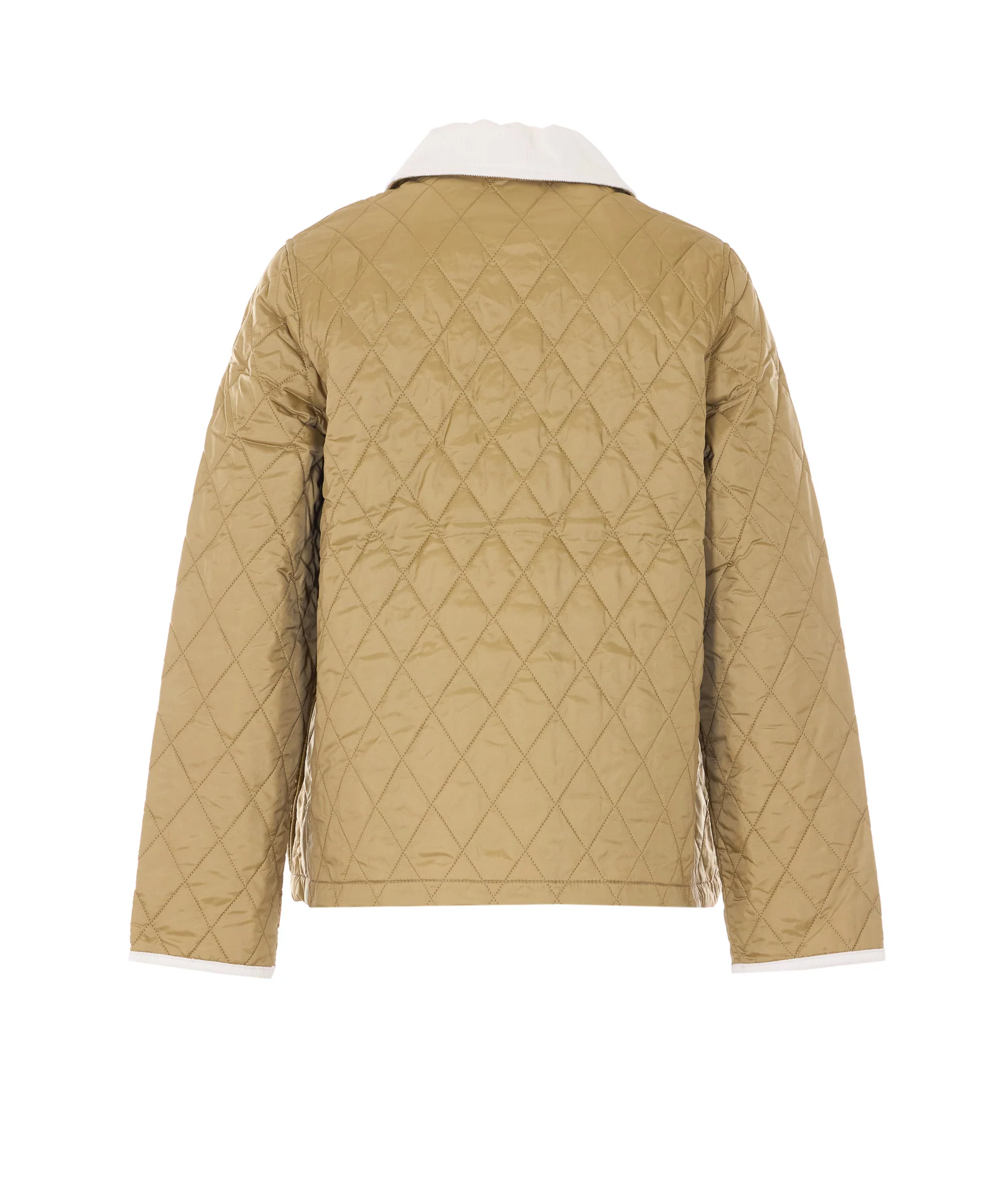 Jaquetas Barbour Bege Poliamida